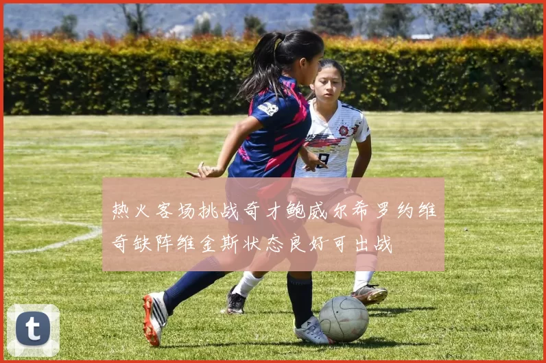 热火客场挑战奇才鲍威尔希罗约维奇缺阵维金斯状态良好可出战