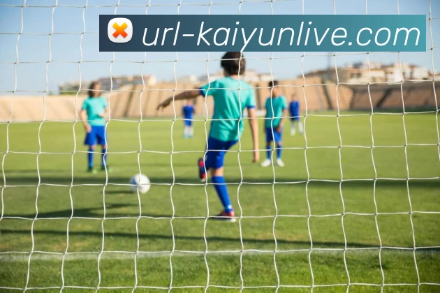 开云体育平台生态图